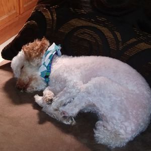 Meet your Posher, Erika